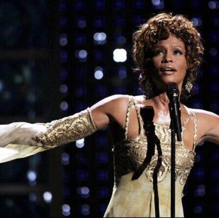 Le garde du corps « paniqué » de Whitney Houston « ne pouvait pas dire si elle était vivante ou morte » dans la baignoire