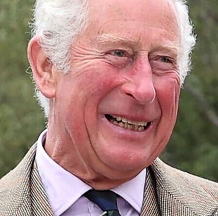 Le prince Charles "adore clairement" un membre de la famille royale - Un expert souligne des "liens solides"