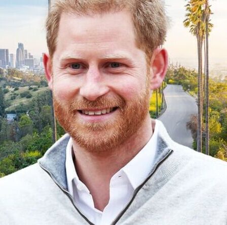 Le prince Harry a abandonné les «pressions constantes» de la famille royale pour le «style de vie californien»