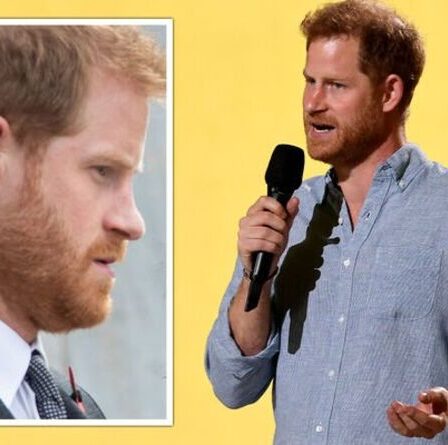 Le prince Harry réagit après les conseils de carrière de Royal: "N'ayez pas tous le luxe"
