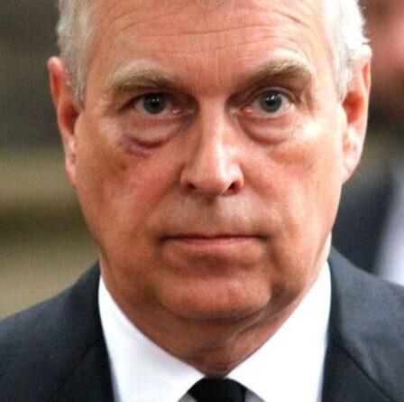 Le retour aux fonctions du prince Andrew serait un «cauchemar royal» et une «confiance dommageable» dans Firm
