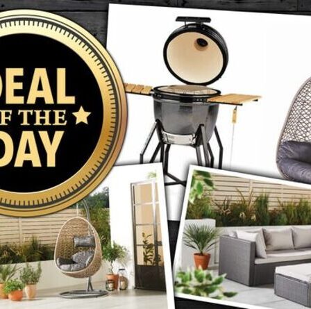 OFFRE DU JOUR: Aldi réapprovisionne la gamme de jardin avec canapé d'angle et fauteuil œuf suspendu