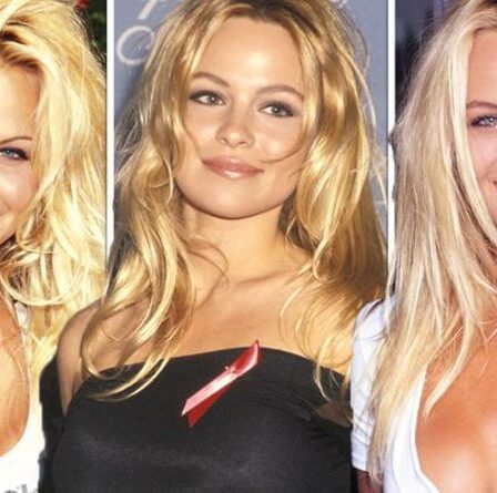 Pamela Anderson: la star de Baywatch étourdit dans des clichés de jeunesse au début de sa carrière