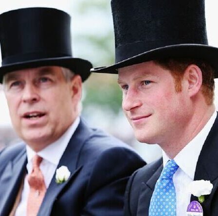 Prince Andrew & Harry STILL Conseillers d'État - peuvent "signer des documents" si la reine est absente
