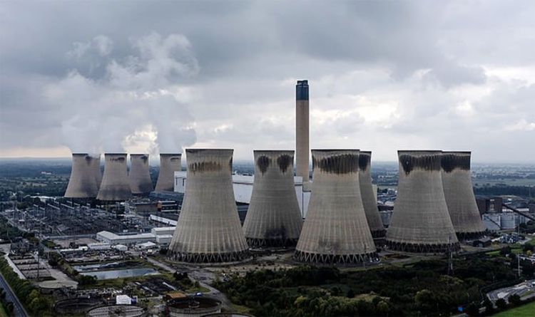 RÉVOLUTION VERTE : "Brûler du bois ne résoudra pas la crise énergétique"