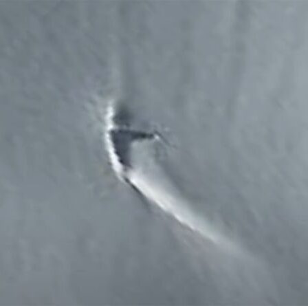 Site de crash d'OVNI ?  Un mystérieux "engin ailé" découvert en Antarctique - Google Maps