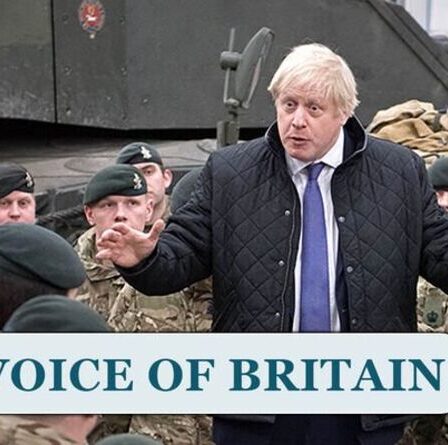 Il est temps pour le Royaume-Uni de renforcer sa défense !  La Grande-Bretagne devrait "se protéger, pas le monde" - sondage