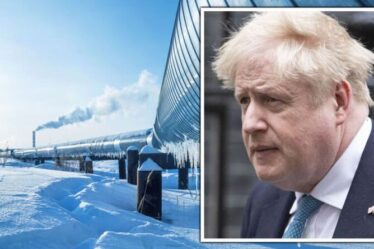 La Grande-Bretagne aidera l'UE et l'Occident à s'éloigner du gaz russe - Boris présente un nouveau plan énergétique