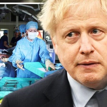 Brexit LIVE: coup de marteau pour les alarmistes de Rejoiner alors que les travailleurs qualifiés affluent au Royaume-Uni