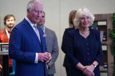 Camilla et le prince Charles dévoilent le nouveau siège de Meta avec une "torsion"
