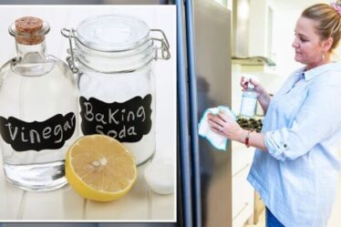 Comment nettoyer votre réfrigérateur : deux ingrédients essentiels pour un « nettoyage en profondeur » dans les armoires de cuisine