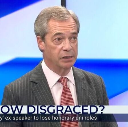GB News : Nigel Farage s'en prend à l'ex-président John Bercow - "Il a obtenu sa récompense politique !"