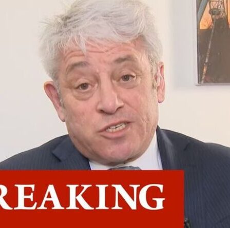 John Bercow SUSPENDU du parti travailliste après avoir été reconnu coupable d'intimidation au parlement
