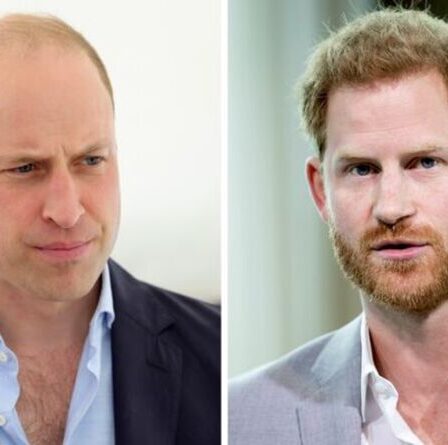 La querelle de Harry et William "ne guérira pas" alors que le duc de Sussex a mis en garde contre les fouilles à Kate