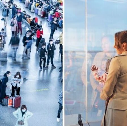 Le chaos s'ensuit pour les touristes à l'aéroport de Ténérife Sud "des files d'attente énormes"