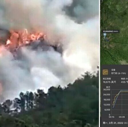 Le pilote du vol 5735 "a peut-être repris conscience" avant l'accident, selon un expert en aviation