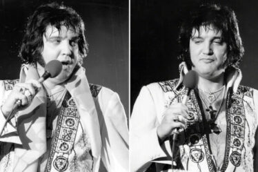 Les dernières années d'Elvis Presley : "King voulait très peu de monde", déclare un membre de la mafia de Memphis