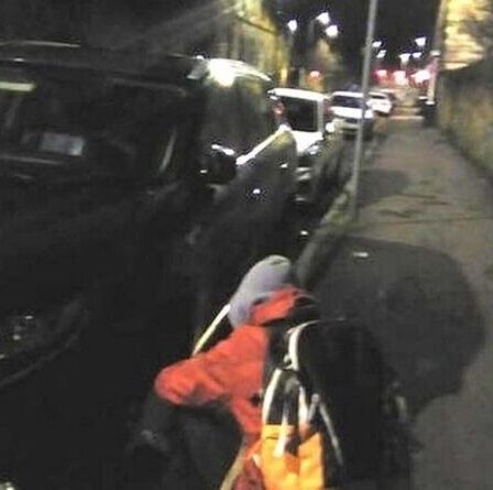 Les militants du climat ciblent les pneus SUV dans une vague de vandalisme - "Votre énergivore tue"