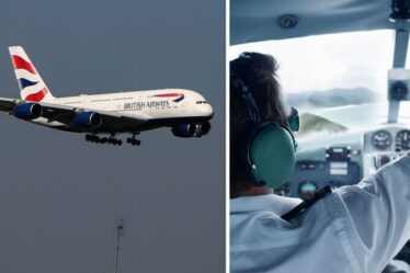 Les pilotes de British Airways contraints d'utiliser «leurs téléphones personnels» dans un «chaos» de panne informatique