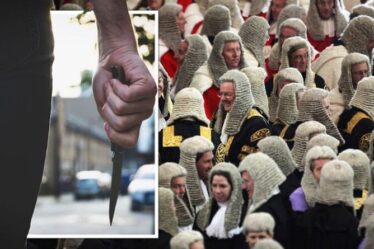 Les tribunaux britanniques trahissent les victimes de crimes au couteau alors que des juges indulgents "autorisent les gangs à toiletter les enfants"