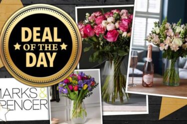 OFFRE DU JOUR: Marks and Spencer réduit de 10% les bouquets de la fête des mères - pré-commandez maintenant