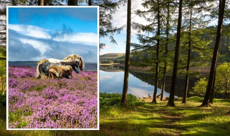 Staycation: le parc national britannique nommé le plus relaxant au monde - "joyau caché"