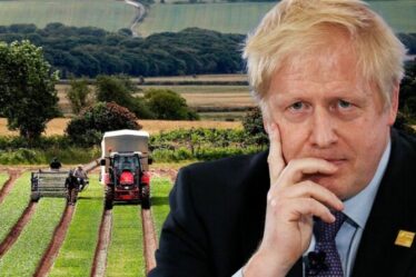 Trahison du Brexit alors que les agriculteurs britanniques sont sapés par un «flux massif» de produits bon marché remplis de pesticides