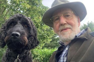 Un chien héros sauve la vie d'un homme coincé dans la boue avec un énorme mouvement pour alerter le propriétaire sourd