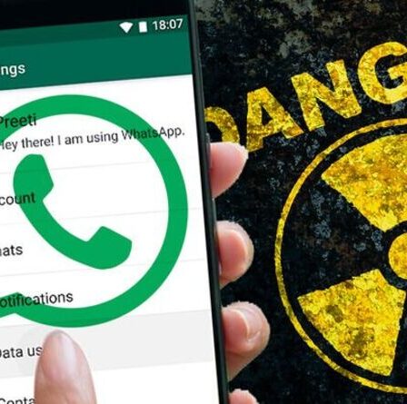 Utiliser WhatsApp sur Android ?  Vérifiez votre téléphone MAINTENANT car une nouvelle menace inquiétante a été détectée