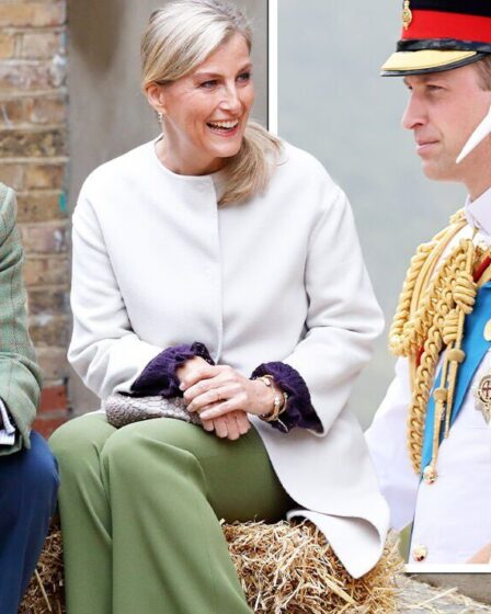 Évitez un autre désastre de relations publiques !  Sophie et Edward ont donné des conseils de tournée après Kate et William