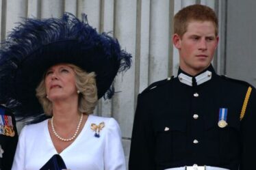 Camilla, le jeune prince Harry, "énervée" avec des "regards fumants et pleins de ressentiment"