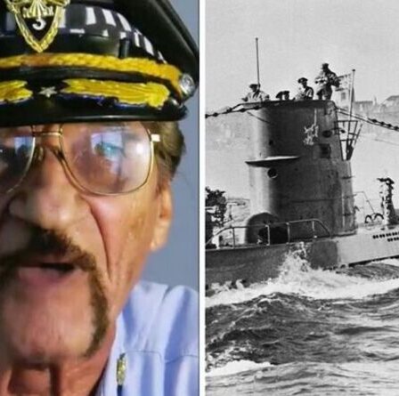 Découverte "extraordinaire" du sous-marin nazi d'un chasseur de trésors "sous l'île" en 1981 : "Vache sacrée !"