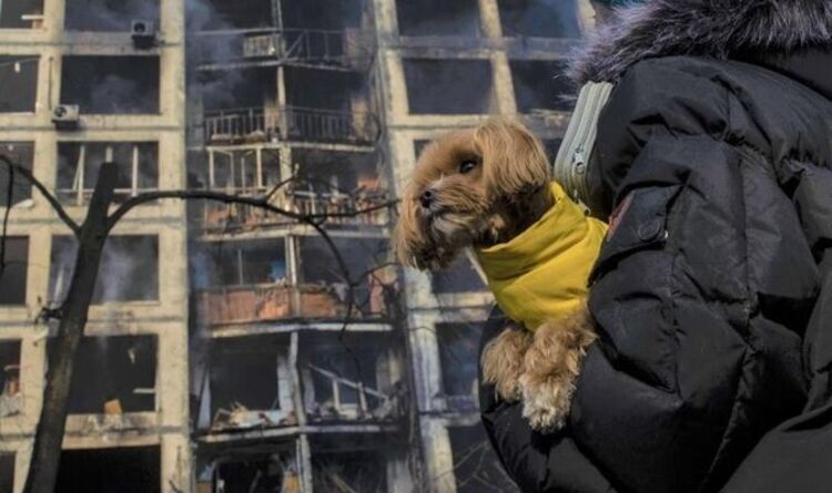 Horreur de la vie quotidienne en Ukraine mise à nu par un guide pour promener des chiens sans se faire exploser