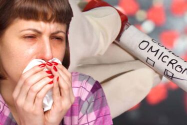 Huit symptômes d'Omicron affectant les vaccinés complets - les éternuements et la fatigue en font partie
