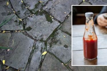 "J'ai été étonné!" : les fans de Mme Hinch expliquent comment utiliser le ketchup pour nettoyer les terrasses