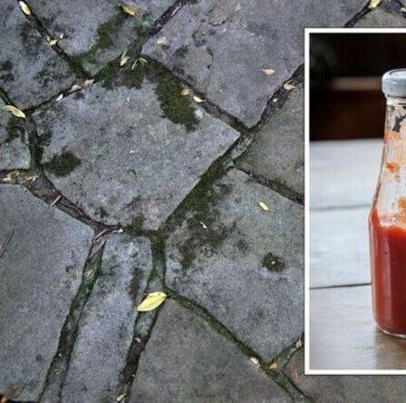 "J'ai été étonné!" : les fans de Mme Hinch expliquent comment utiliser le ketchup pour nettoyer les terrasses