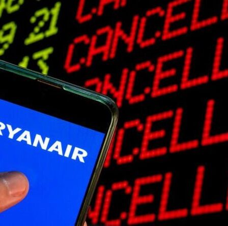 "Je déteste Ryanair !"  Les passagers fulminent lorsqu'ils ratent des vols car l'application dit à tort qu'ils sont annulés