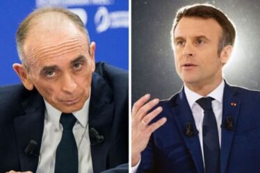 La présidence de Zemmour « nuirait » à la « paix intérieure » française dans une prédiction déchirante