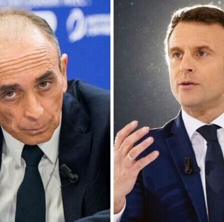 La présidence de Zemmour « nuirait » à la « paix intérieure » française dans une prédiction déchirante