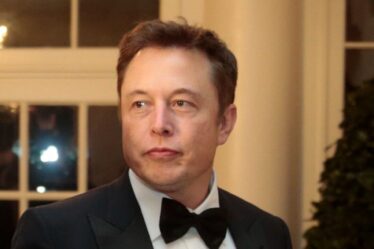 Musk dit qu'il est sans abri et qu'il surfe sur son canapé alors qu'il est l'homme le plus riche du monde