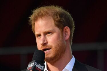 Royal Family LIVE: Harry fustigé par la croyance « déroutante » que les Pays-Bas sont plus sûrs que le Royaume-Uni