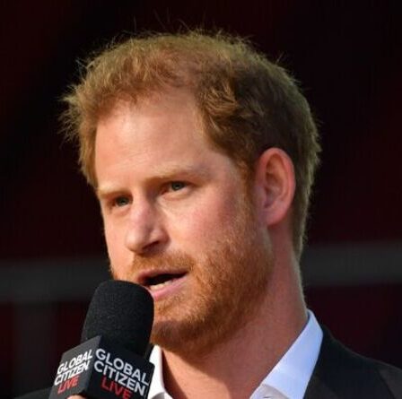 Royal Family LIVE: Harry fustigé par la croyance « déroutante » que les Pays-Bas sont plus sûrs que le Royaume-Uni