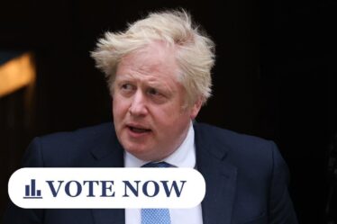 SONDAGE : Boris Johnson devrait-il rester et combattre les revendications du Partygate ou aller en Inde ?