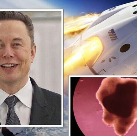 SpaceX de Musk lancera la semaine prochaine une expérience de viande artificielle sur l'ISS: "Steak for space"