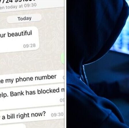 'Supprime-le!'  La Lloyds Bank émet un avertissement d'escroquerie concernant de faux messages WhatsApp