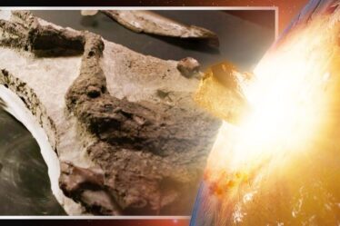 Percée scientifique après la découverte d'un fossile de dinosaure "incroyable" le jour où l'astéroïde a frappé la Terre