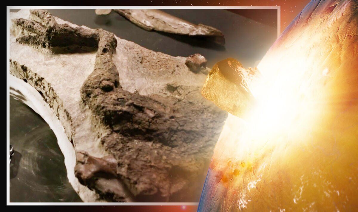 Percée scientifique après la découverte d'un fossile de dinosaure "incroyable" le jour où l'astéroïde a frappé la Terre