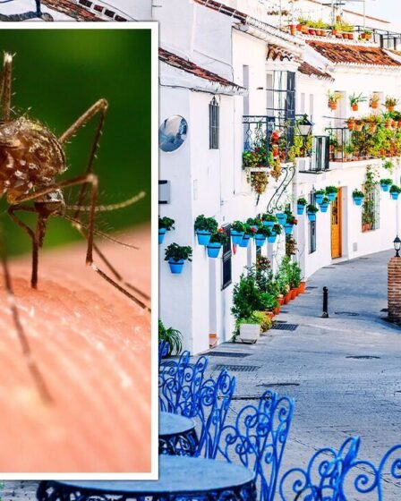 Avertissement de vacances en Espagne : la Costa del Sol fait face à une alerte mortelle contre les moustiques - zones touchées