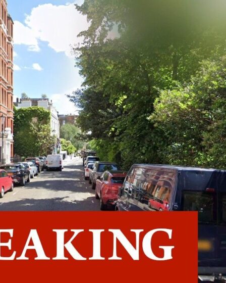 Horreur alors qu'une femme et trois chiens sont morts après avoir été heurtés par Audi