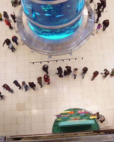 L'effondrement du rouble de Poutine : les Russes indignés alors que les guichets automatiques manquent d'argent - la banque centrale fait face à la fureur